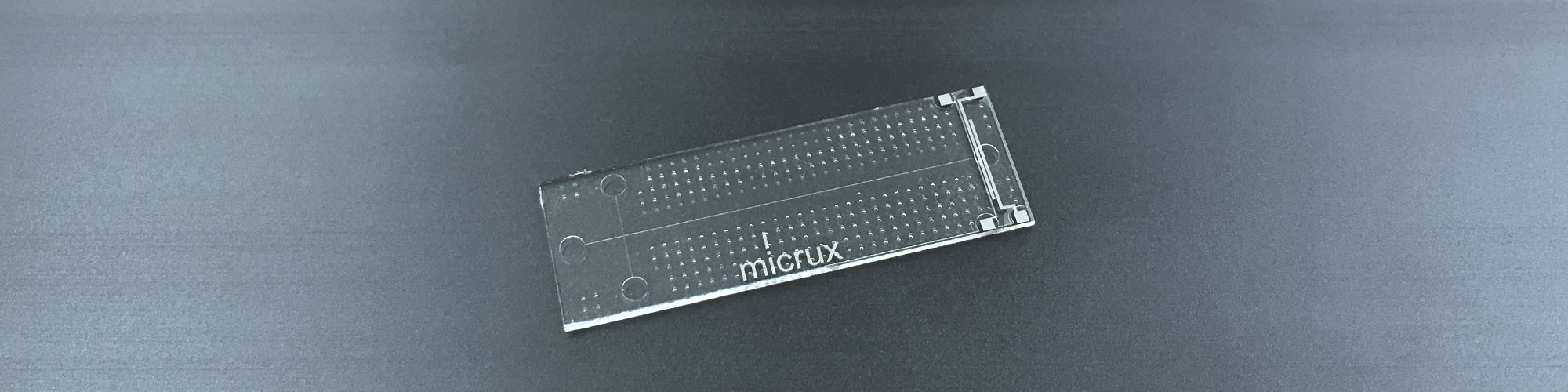 ME Single-Channel with Microelectrodes