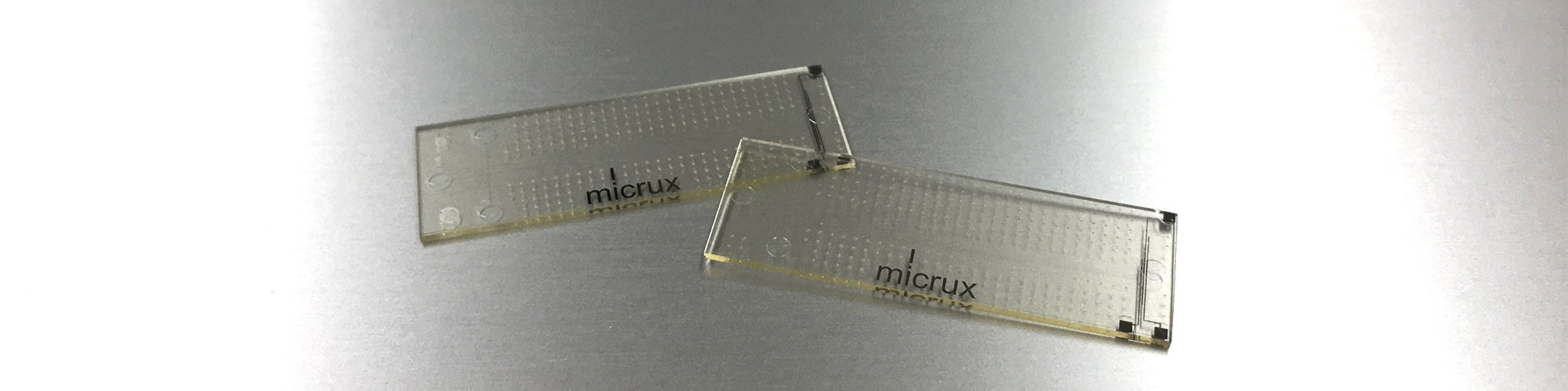 Microfluidic Electrophoresis Chips