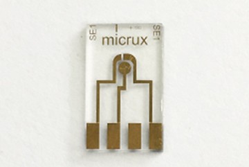 Thin-film Gold 10µm-Microelectrode Array